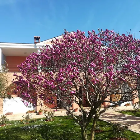 فندق مبيت وإفطار Carmela