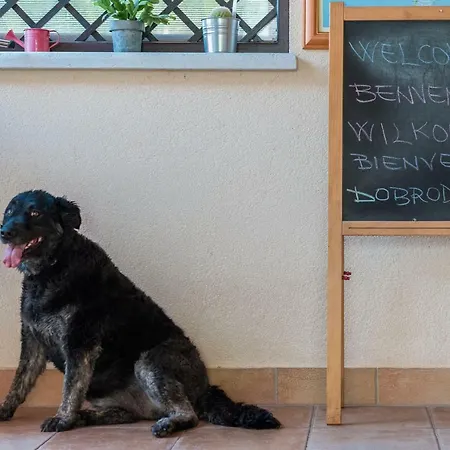 Nocleg ze śniadaniem Carmela 2*