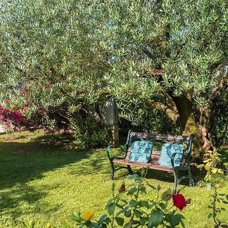 Bed & Breakfast Carmela