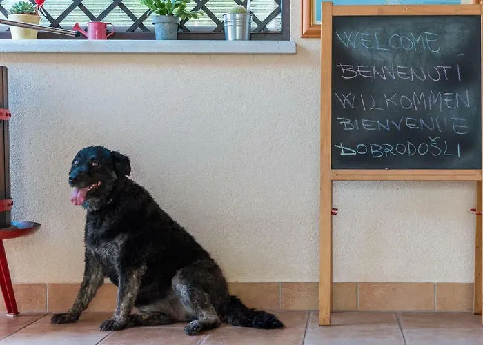 Bed & Breakfast Carmela 3*