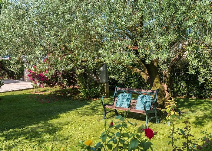 Bed & Breakfast Carmela