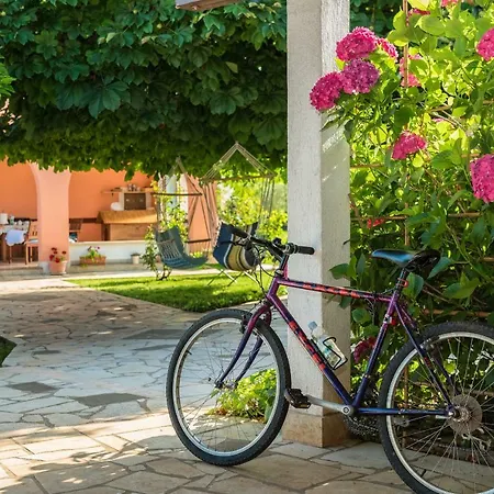 Carmela Bed and breakfast Umag